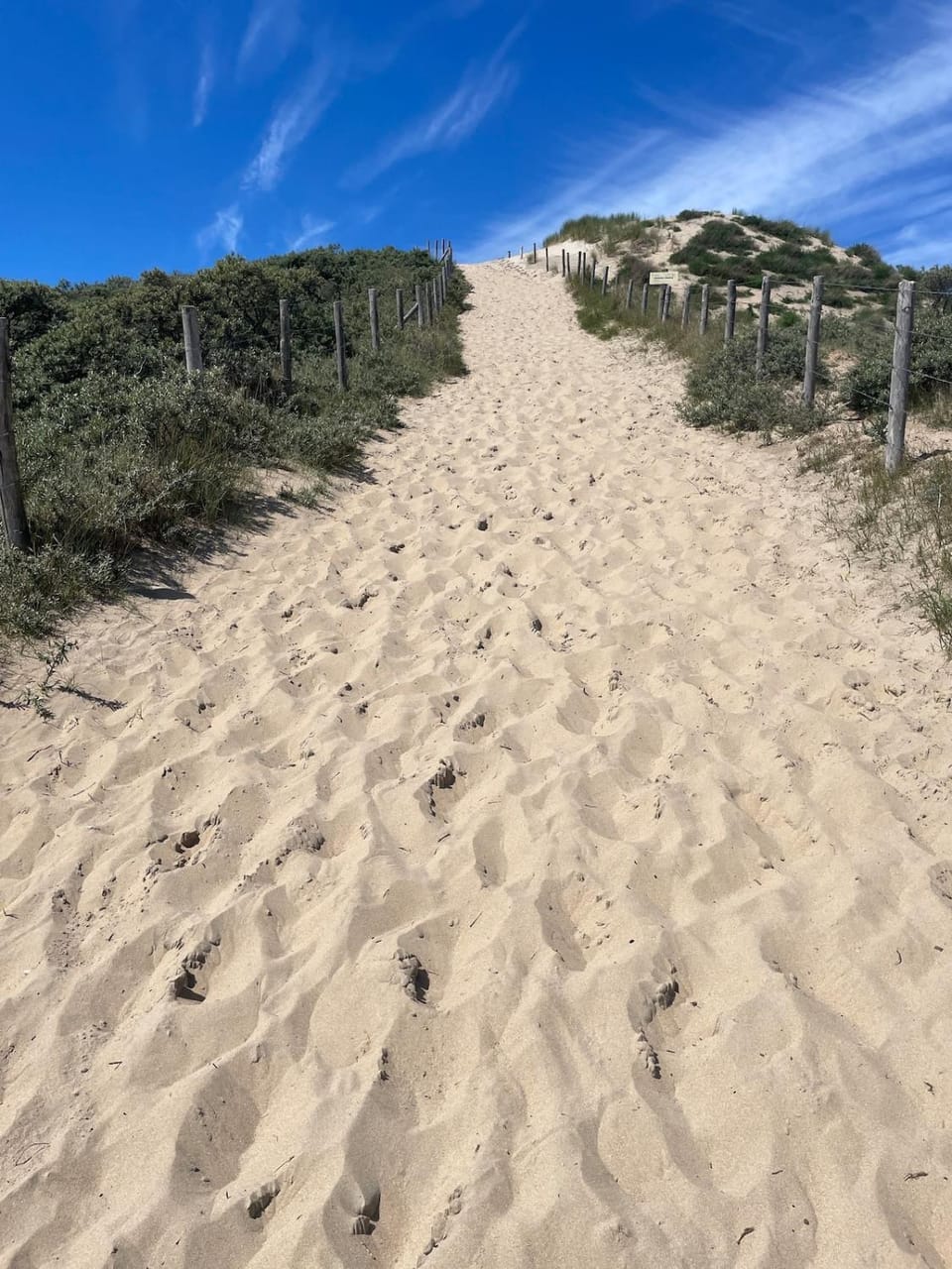 SATORI LODGE near the Dunes & the Beach Apartment in Zandvoort