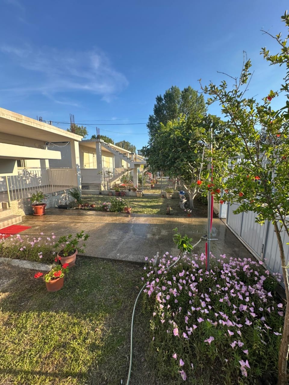Property building, Spring, Day, Garden, Garden view