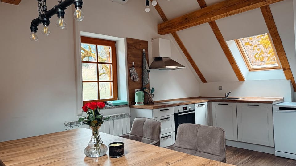 Kitchen or kitchenette, Dining area, stove