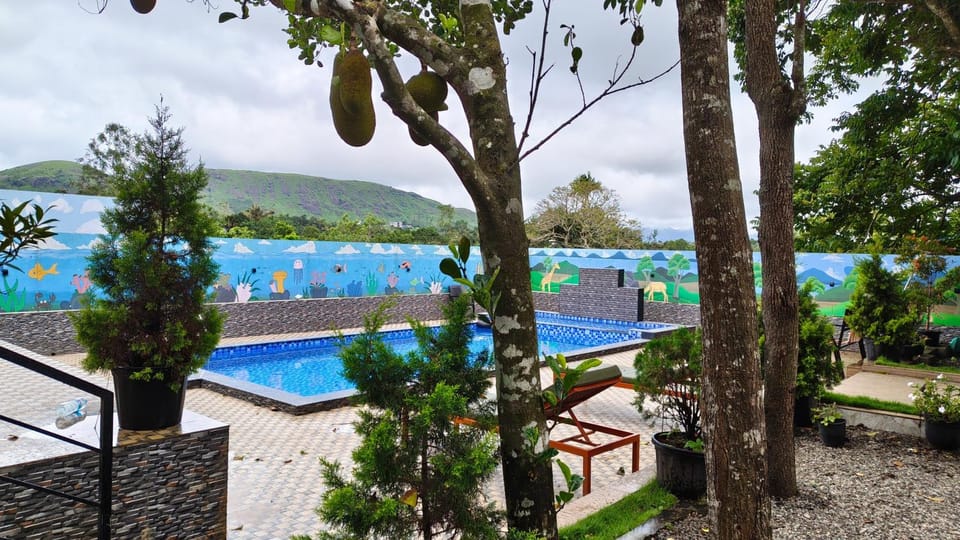 Mountain view, Swimming pool