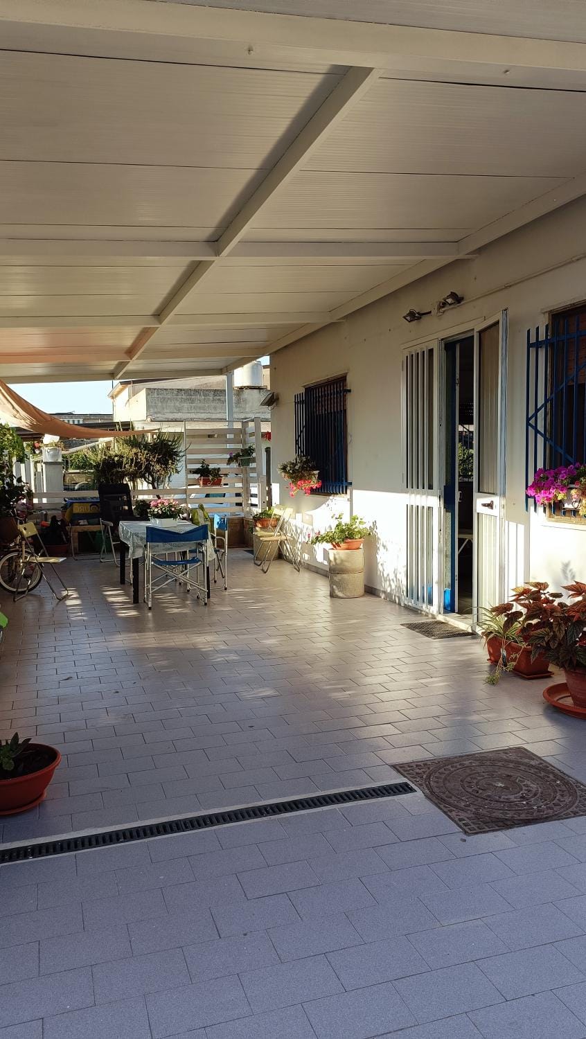 Patio, Day