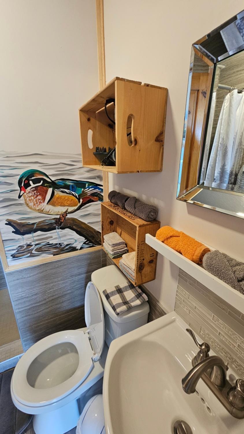 Toilet, Decorative detail, towels