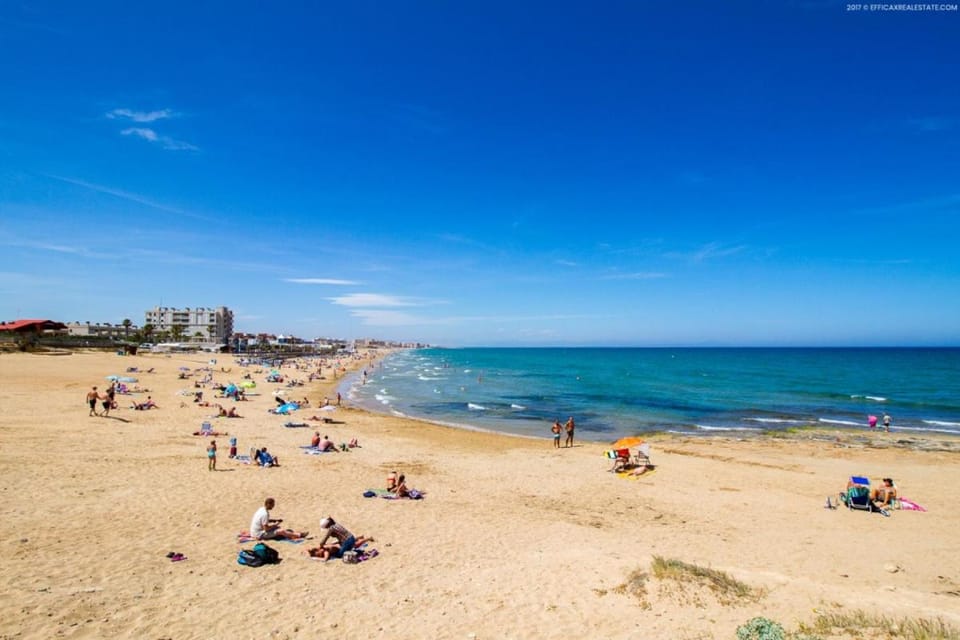 Casa Micha Apartment in Torrevieja
