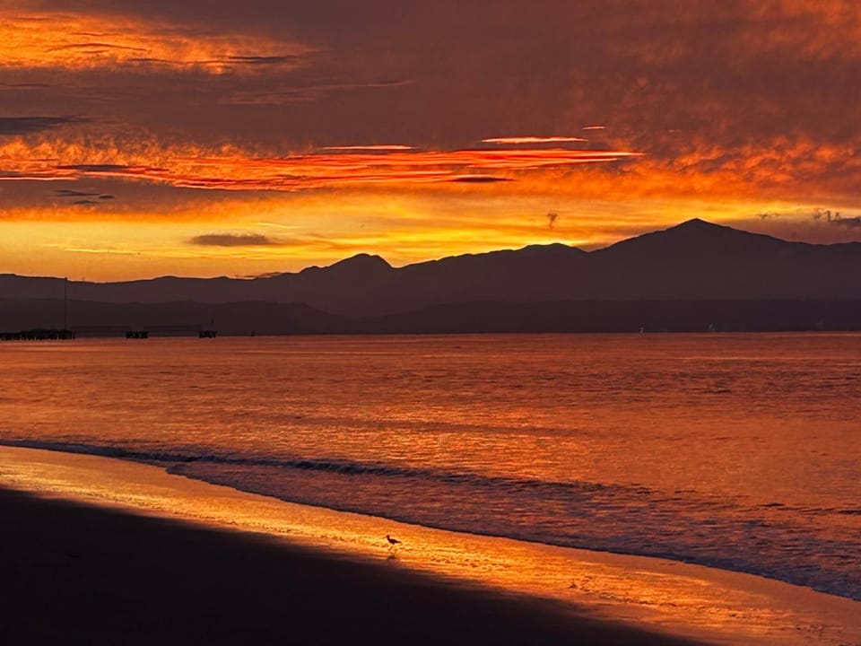 Natural landscape, Beach, Sunrise