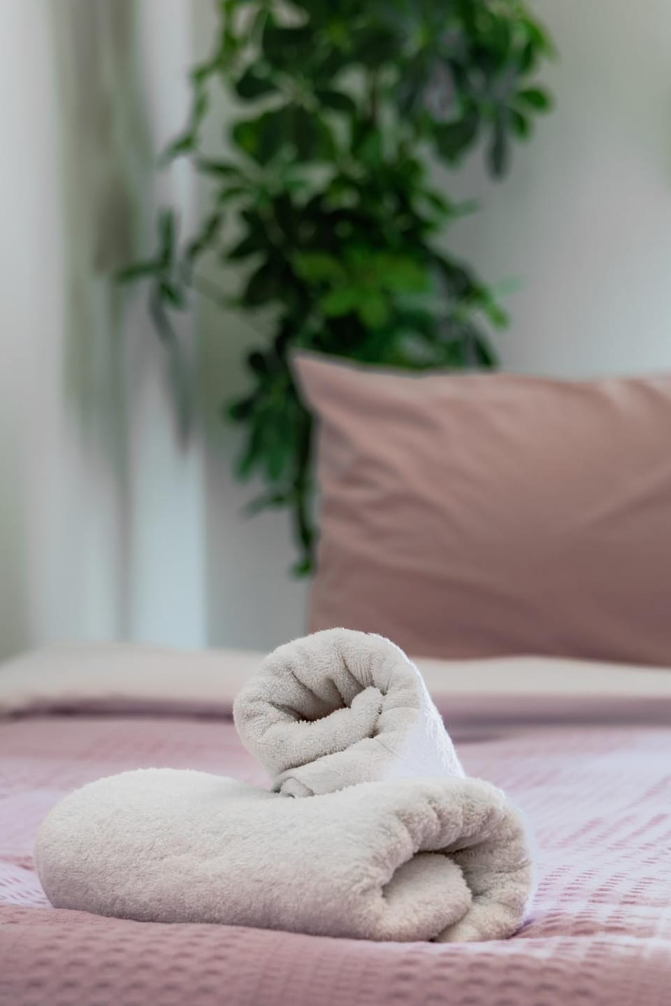 Bed, Photo of the whole room, Bedroom, towels