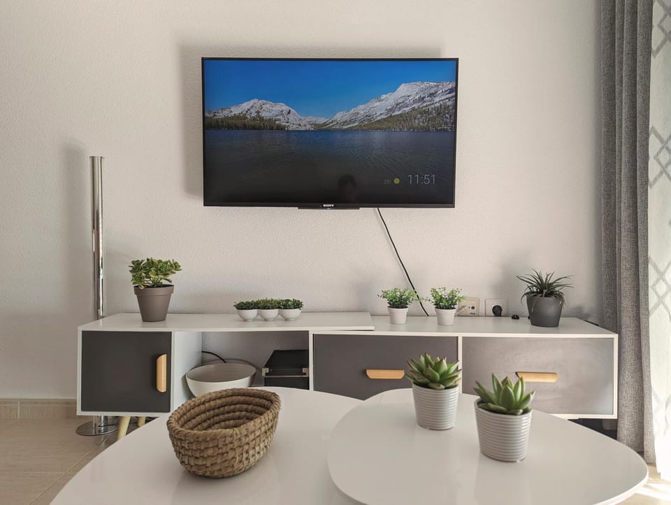 TV and multimedia