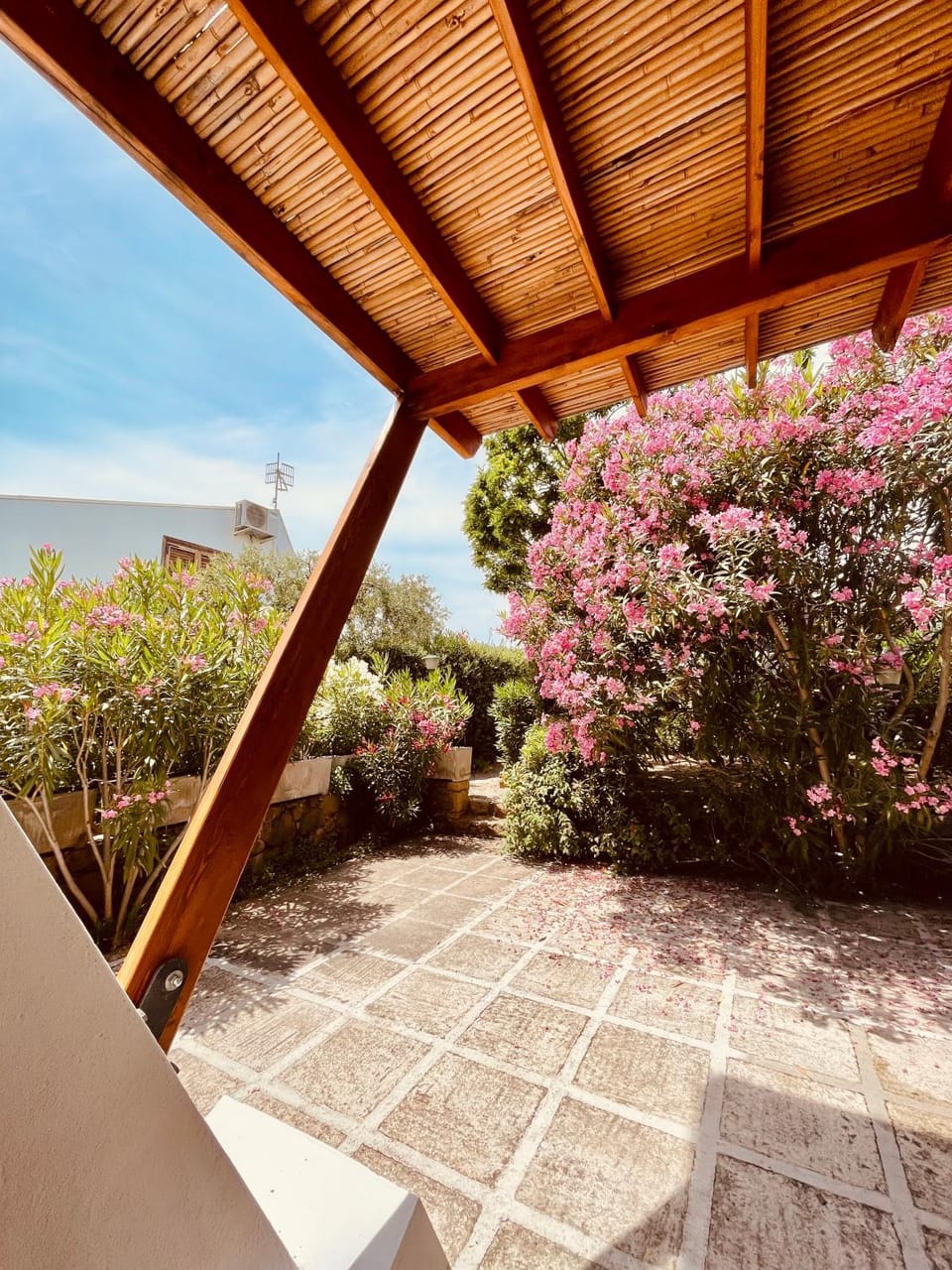 Patio, Day, Garden