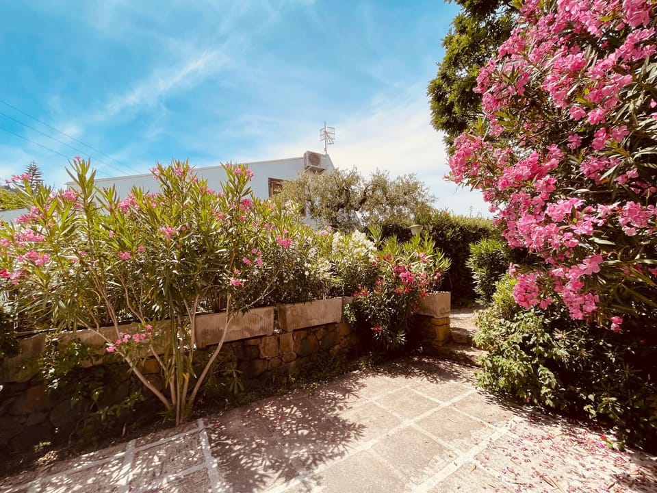 Garden, Garden view