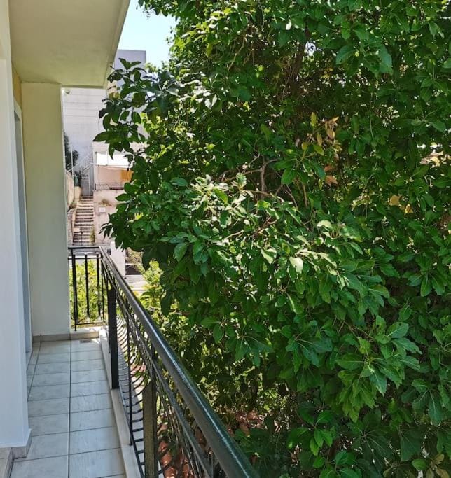 Denia's house in the heart of Argostoli Apartment in Argostolion