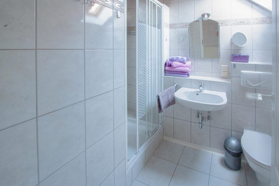 Shower, Toilet, Bathroom, towels