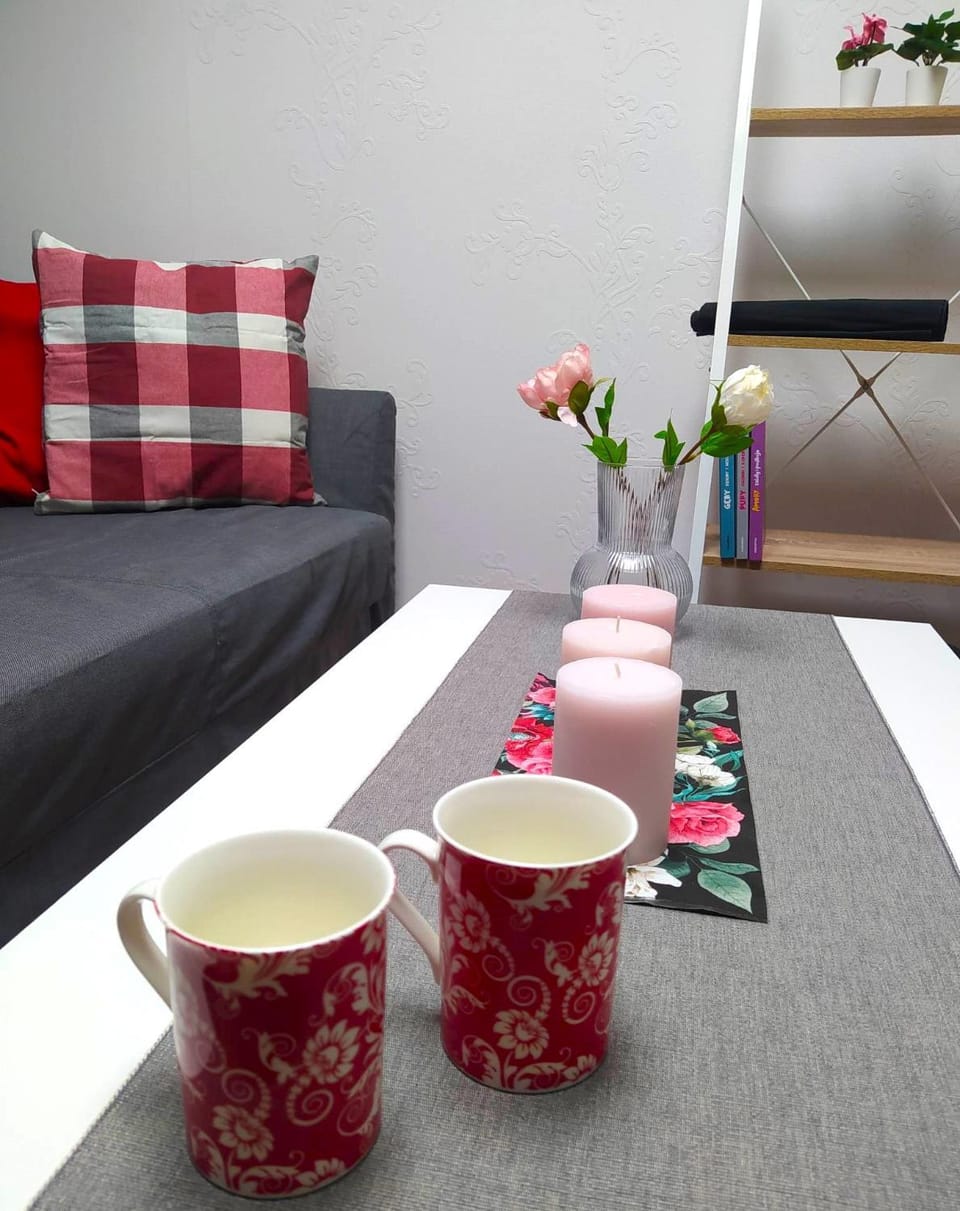 UP! Dwupoziomowe mieszkanie w Centrum Apartment in Greater Poland Voivodeship