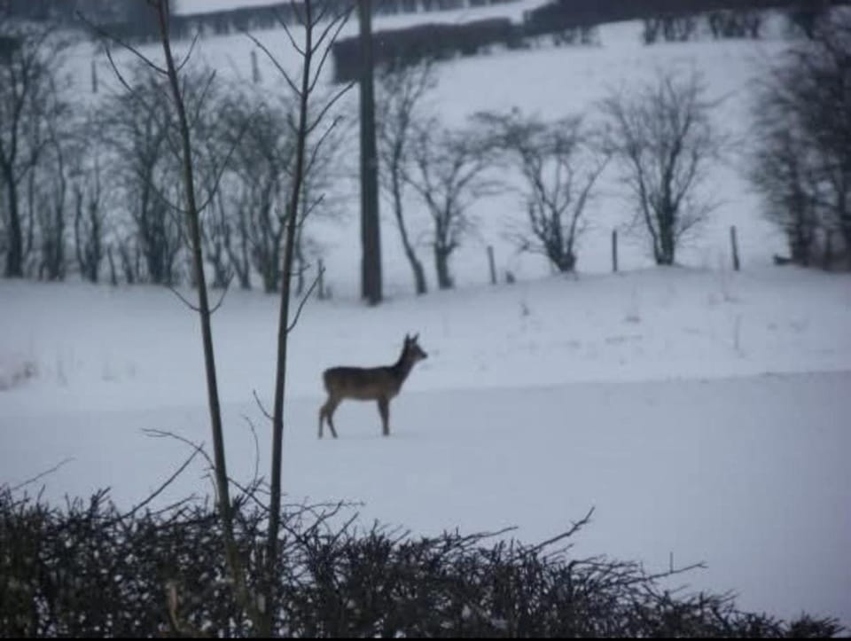 Lanonweye Bed and Breakfast in Wallonia, Belgium
