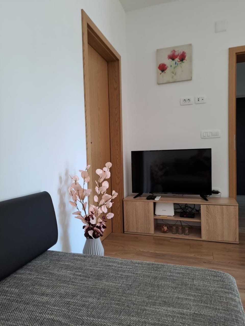 TV and multimedia