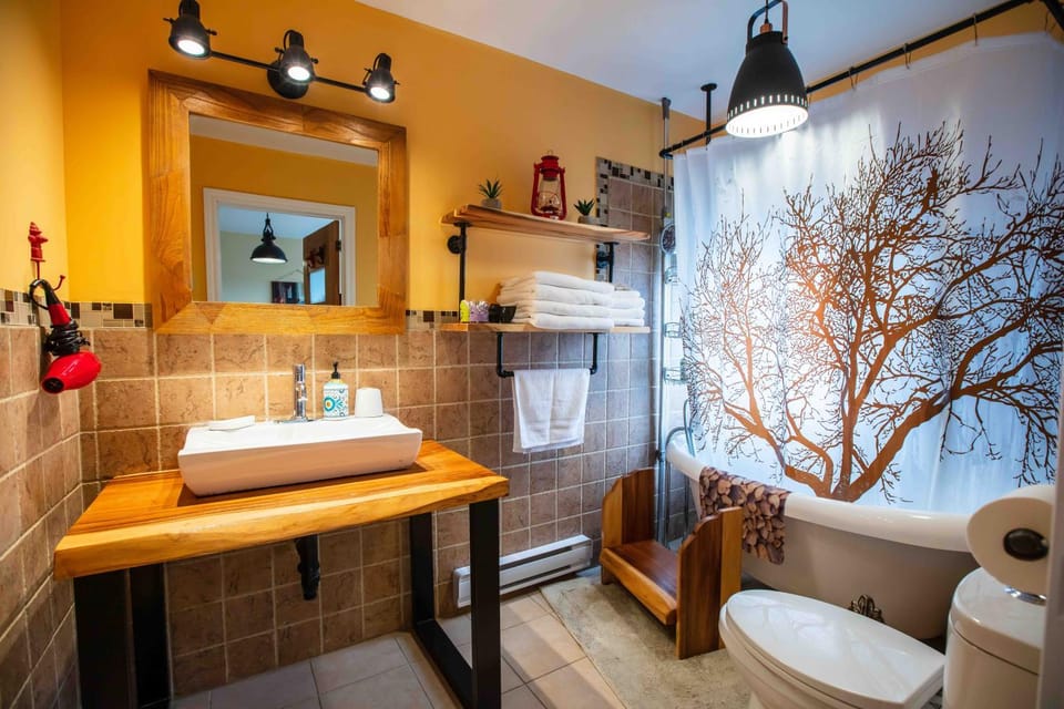 Shower, Toilet, Bathroom, towels