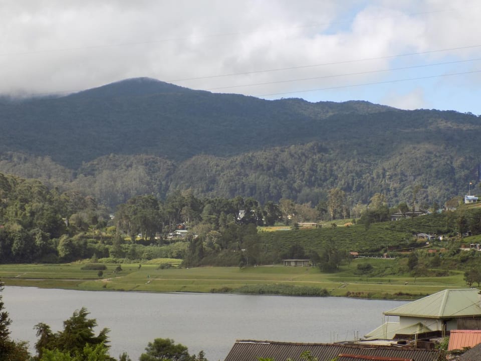 Lake view