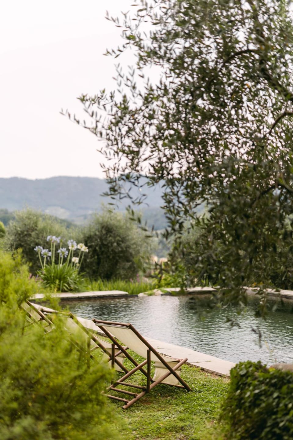 Natural landscape, Garden, Swimming pool