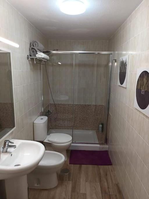 Shower, Toilet, bidet, towels