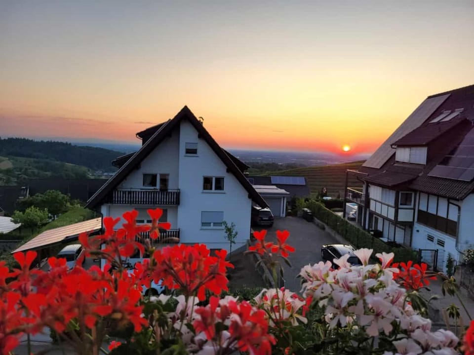Sunset, Quiet street view