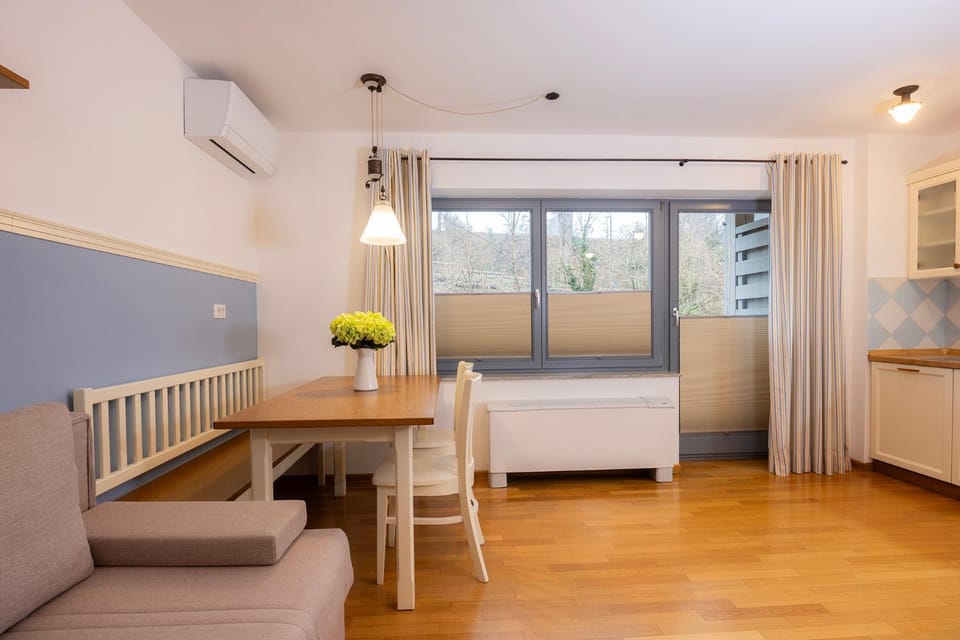 Living room, Dining area, air conditioner