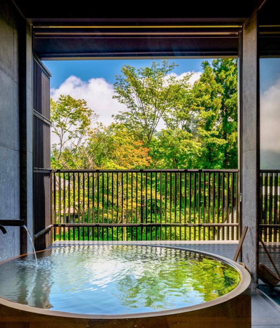 Natural landscape, Hot Spring Bath, Hot Tub, View (from property/room), Balcony/Terrace