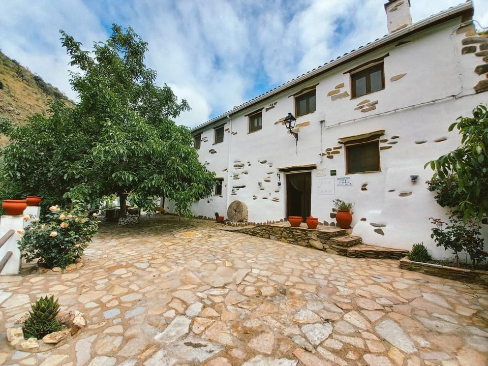 Property building, Spring, Day, Natural landscape, Garden