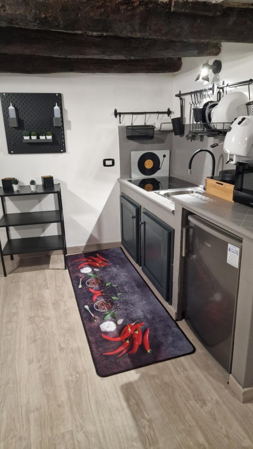 Kitchen or kitchenette, minibar, stove