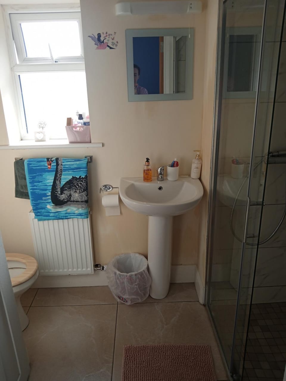 Swan Studio Haven Apartment in County Clare