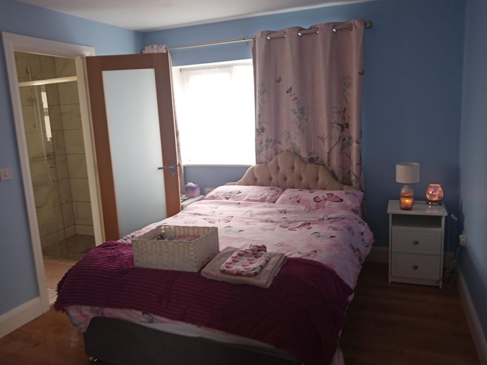 Swan Studio Haven Apartment in County Clare