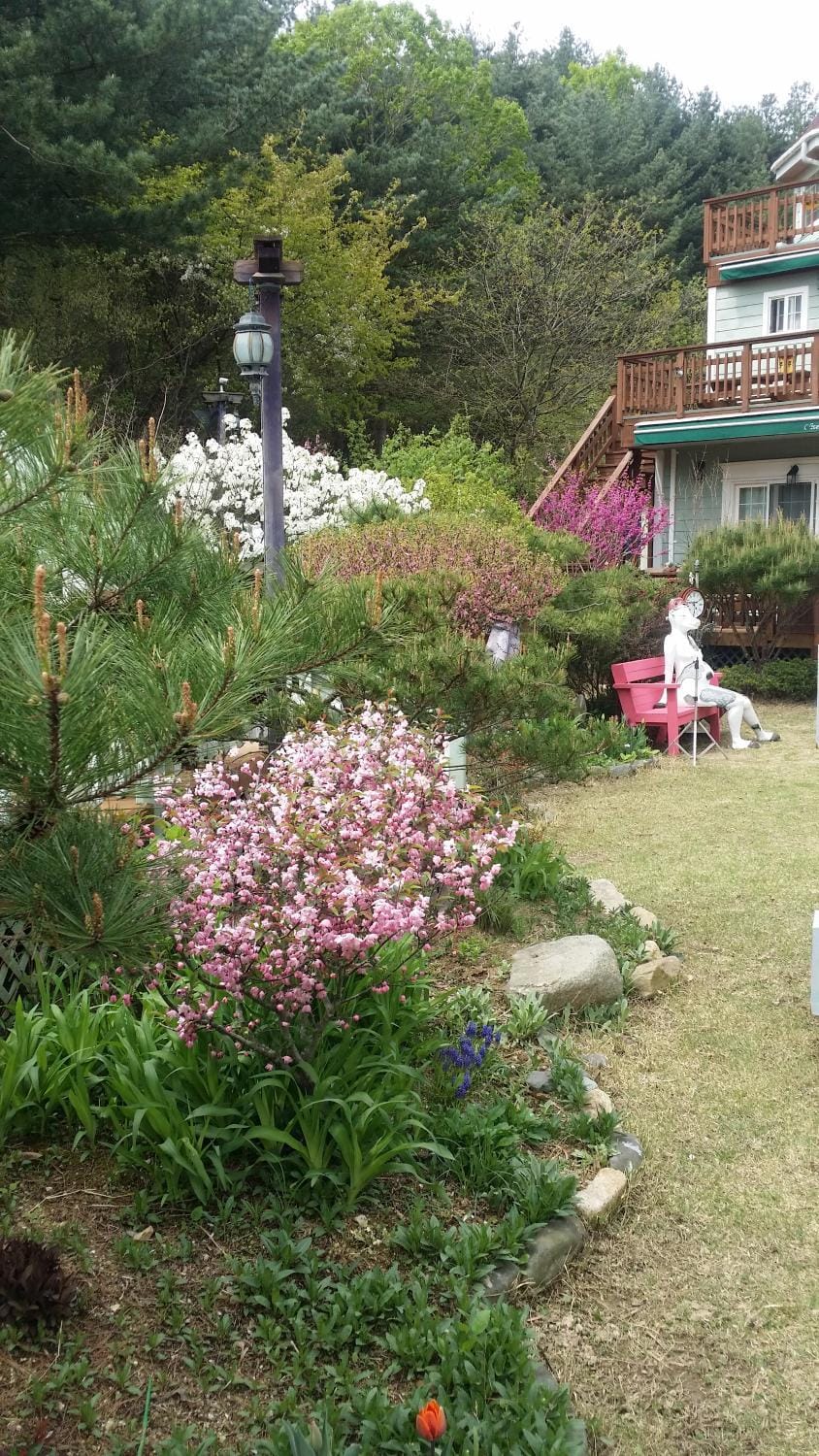 Olive Vanilla Pension House in South Korea