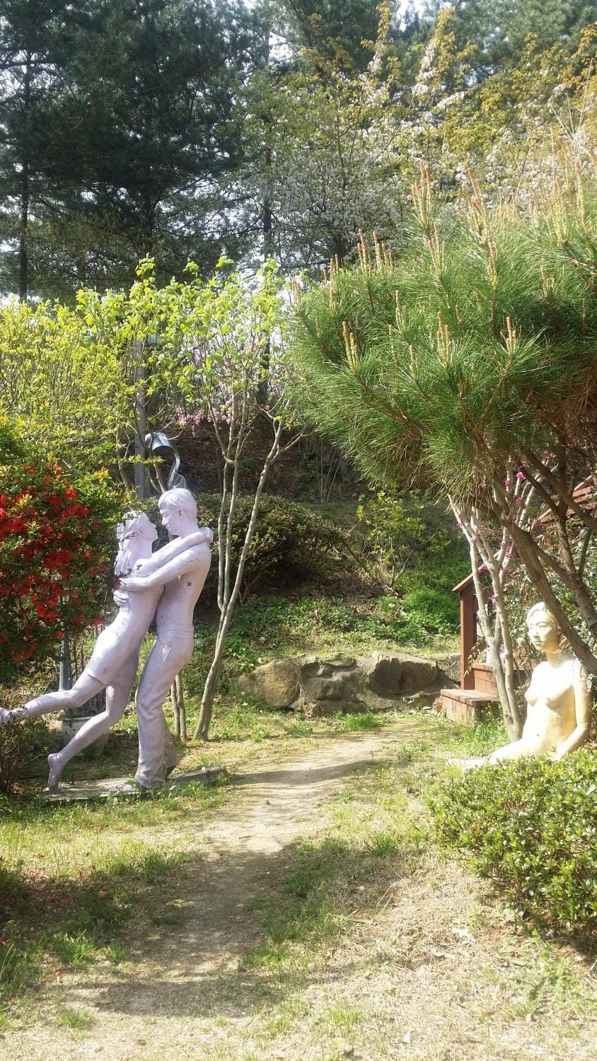 Olive Vanilla Pension House in South Korea