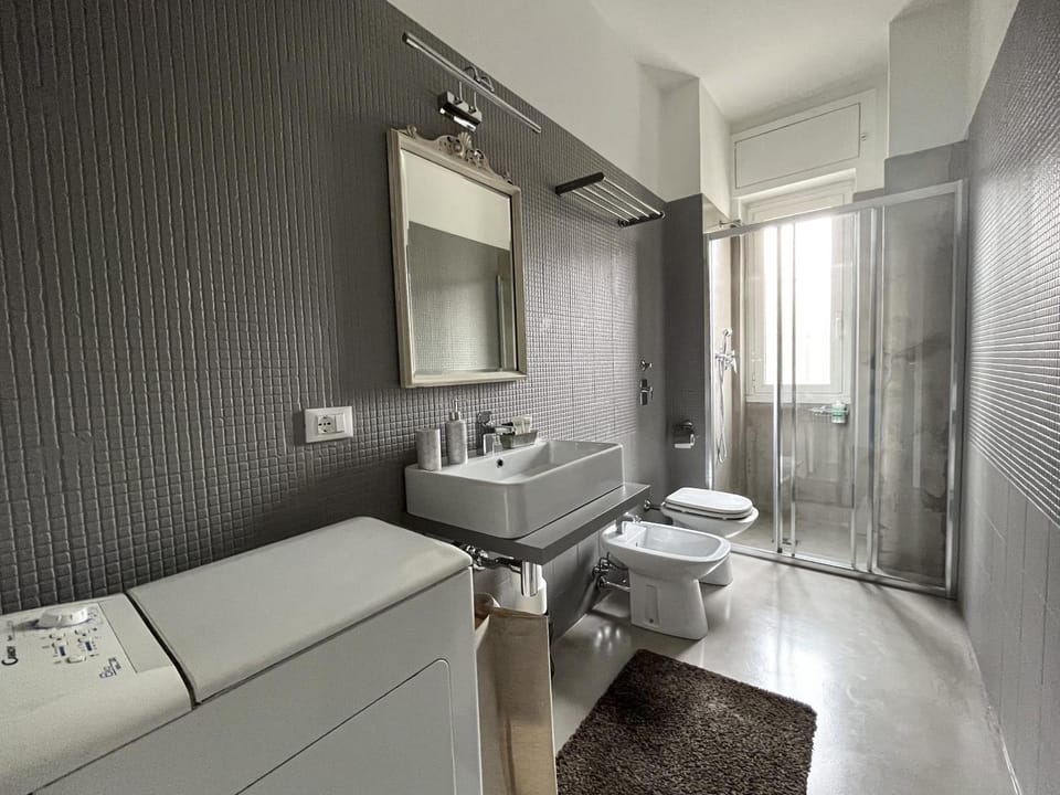 Shower, Toilet, Bathroom, bidet, towels, washing machine