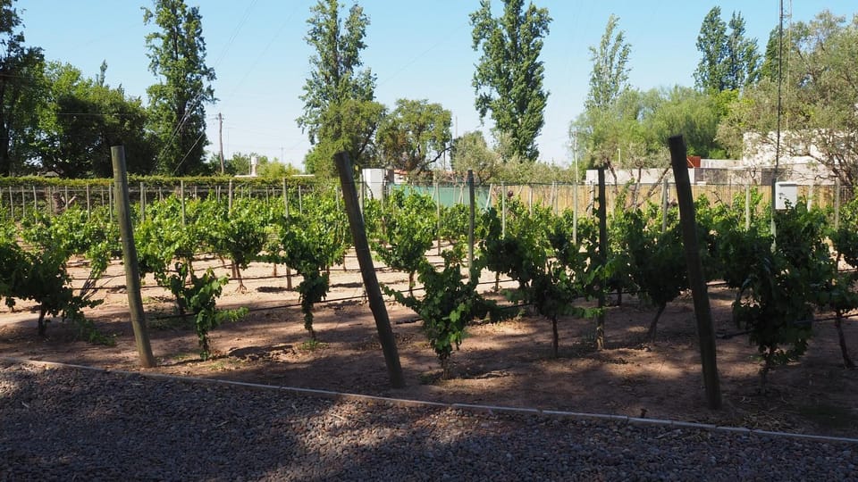 Natural landscape, Garden