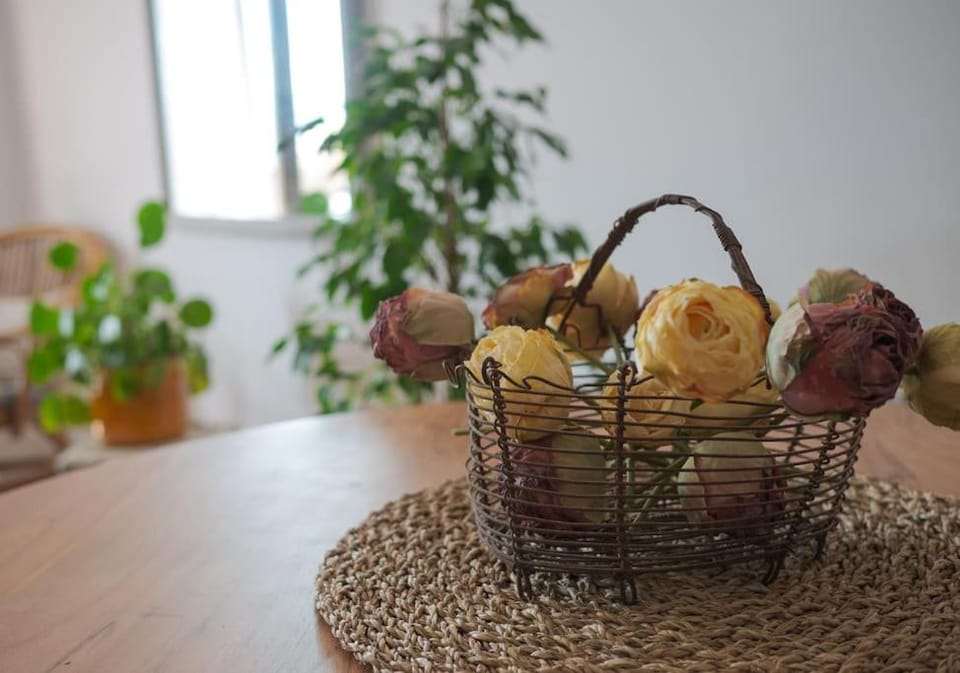 Apartamento boutique Apartment in Pallars Jussà