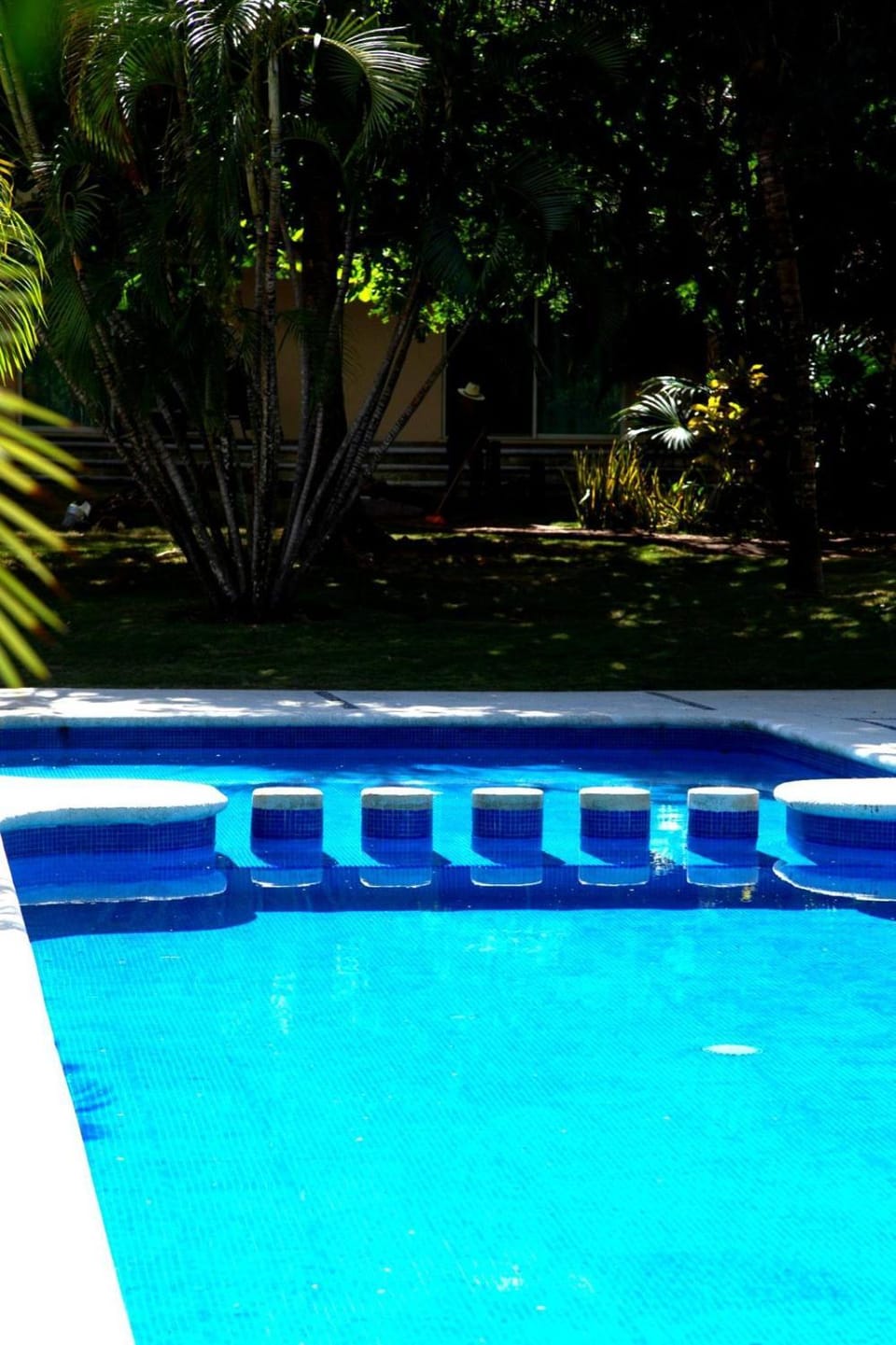 Pool view, Swimming pool, Swimming pool