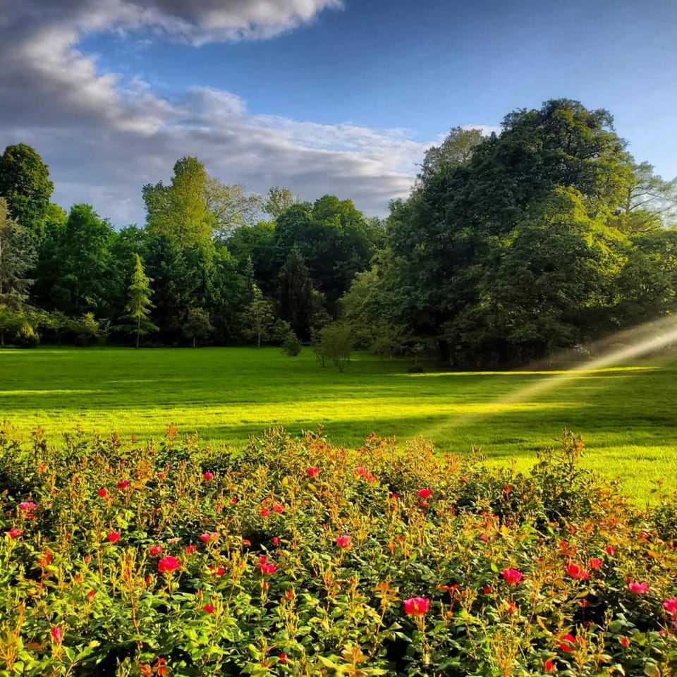 Patio, Spring, Day, Natural landscape, Garden