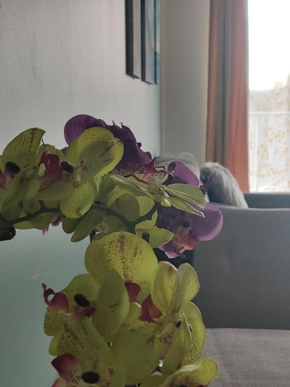 DOMAR APARTAMENT Apartment in Wroclaw