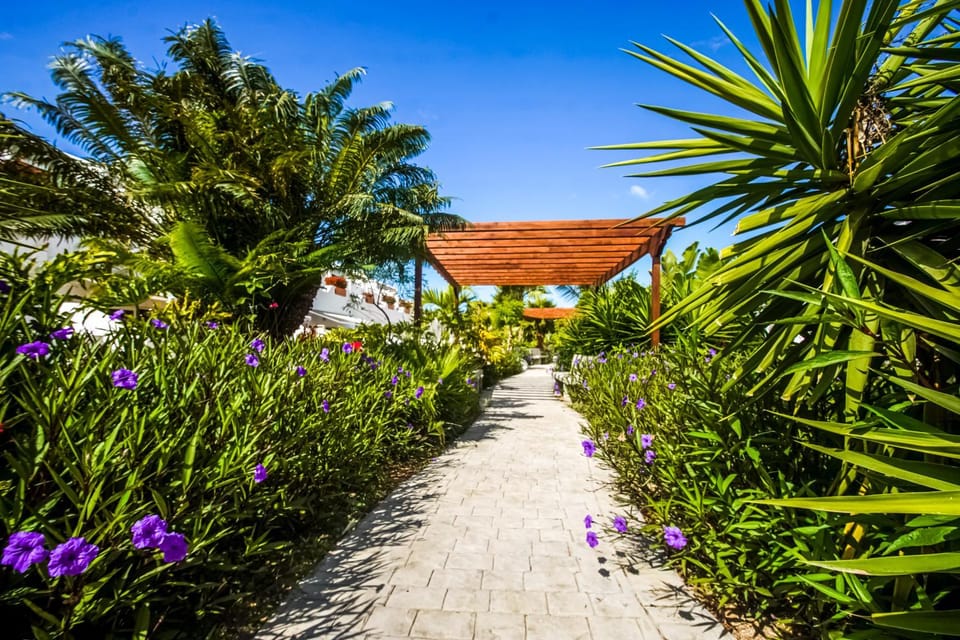 Garden view