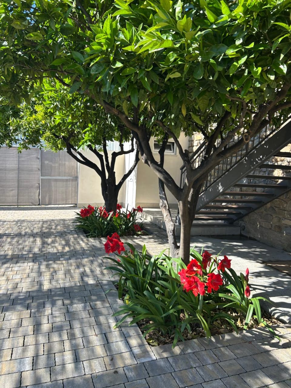Agriturismo Ca du Bega Apartment in Liguria