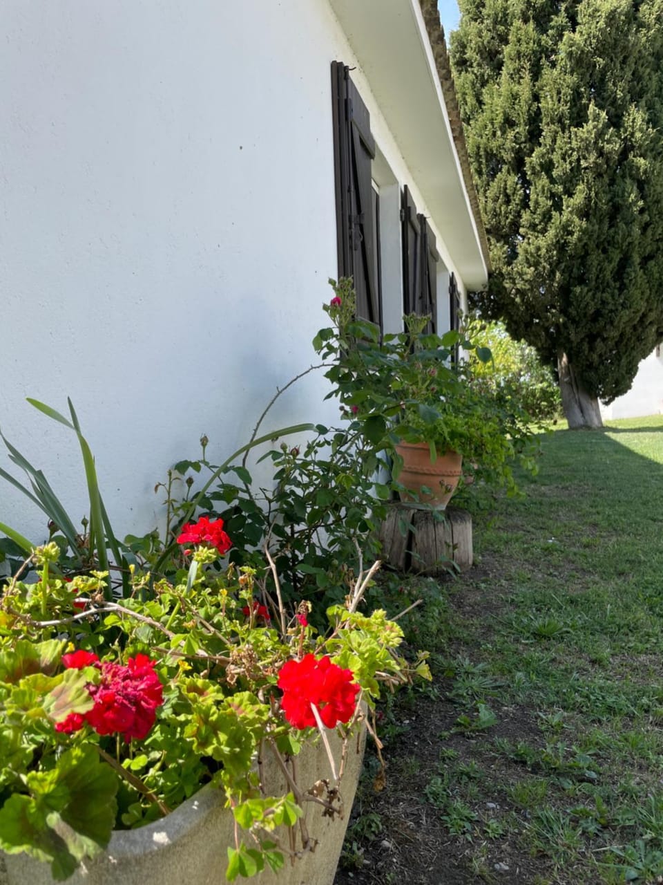 Manade BEC Apartment in Saintes-Maries-de-la-Mer