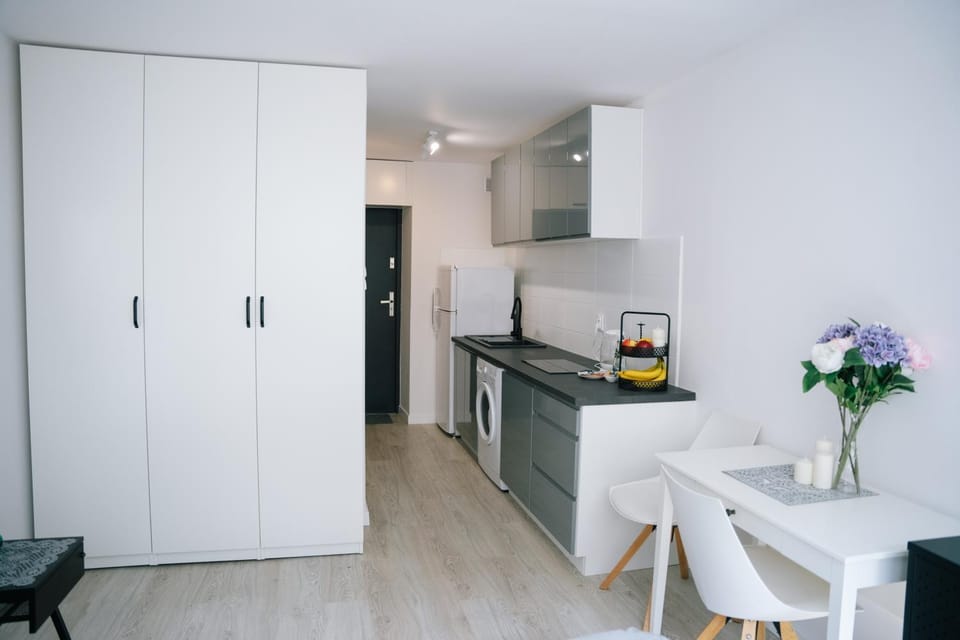 Kitchen or kitchenette, Dining area, stove