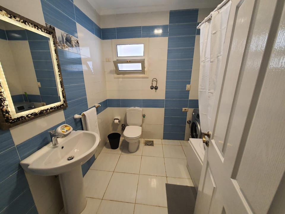 Toilet, Bathroom, towels, washing machine