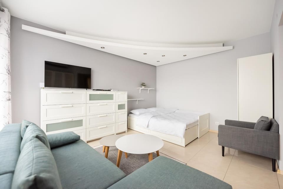 Bed, TV and multimedia, Living room, Photo of the whole room, Seating area, Evening entertainment, hair dresser, air conditioner