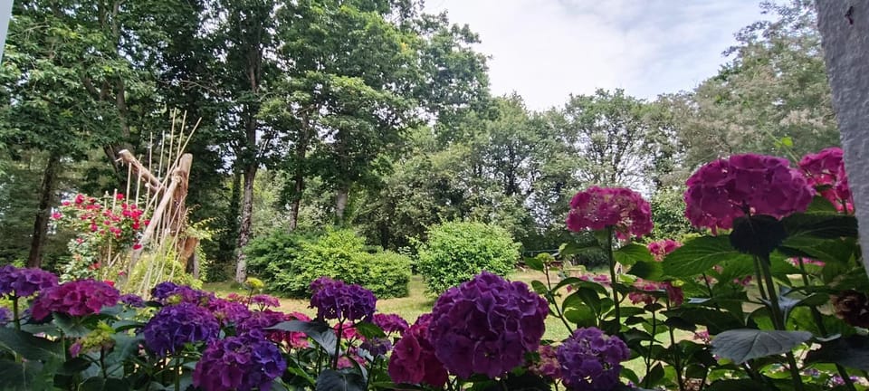 Patio, Garden, Garden view