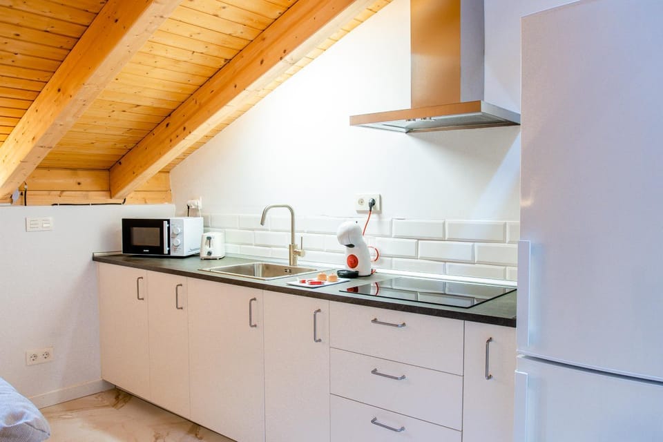 Kitchen or kitchenette, minibar, stove