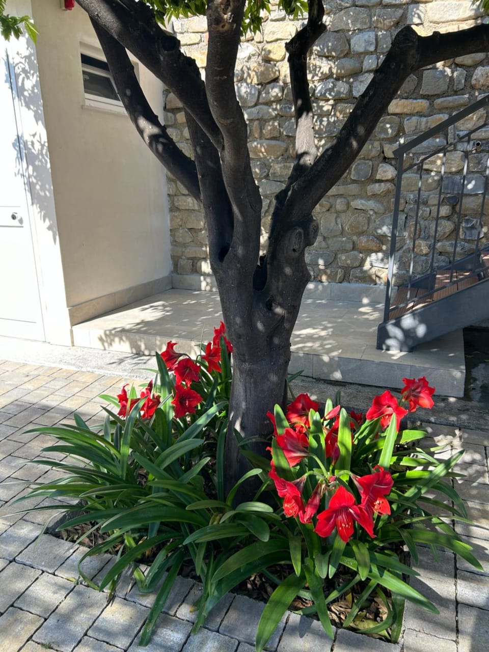 Agriturismo Ca du Bega 2 Apartment in Liguria