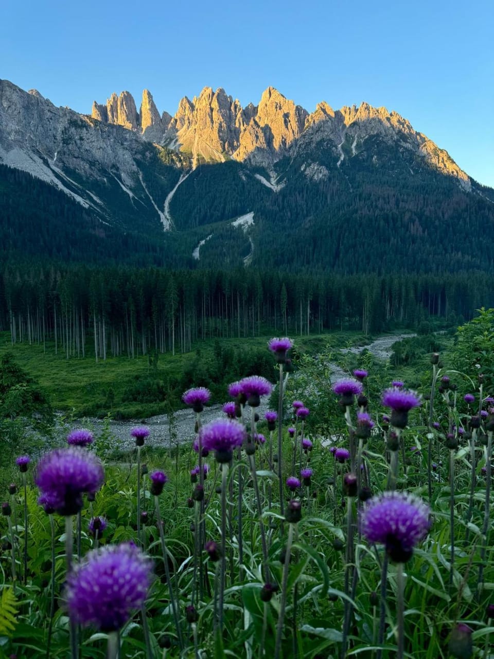CASERA ONORINA Val Visdende Apartment in Friuli-Venezia Giulia