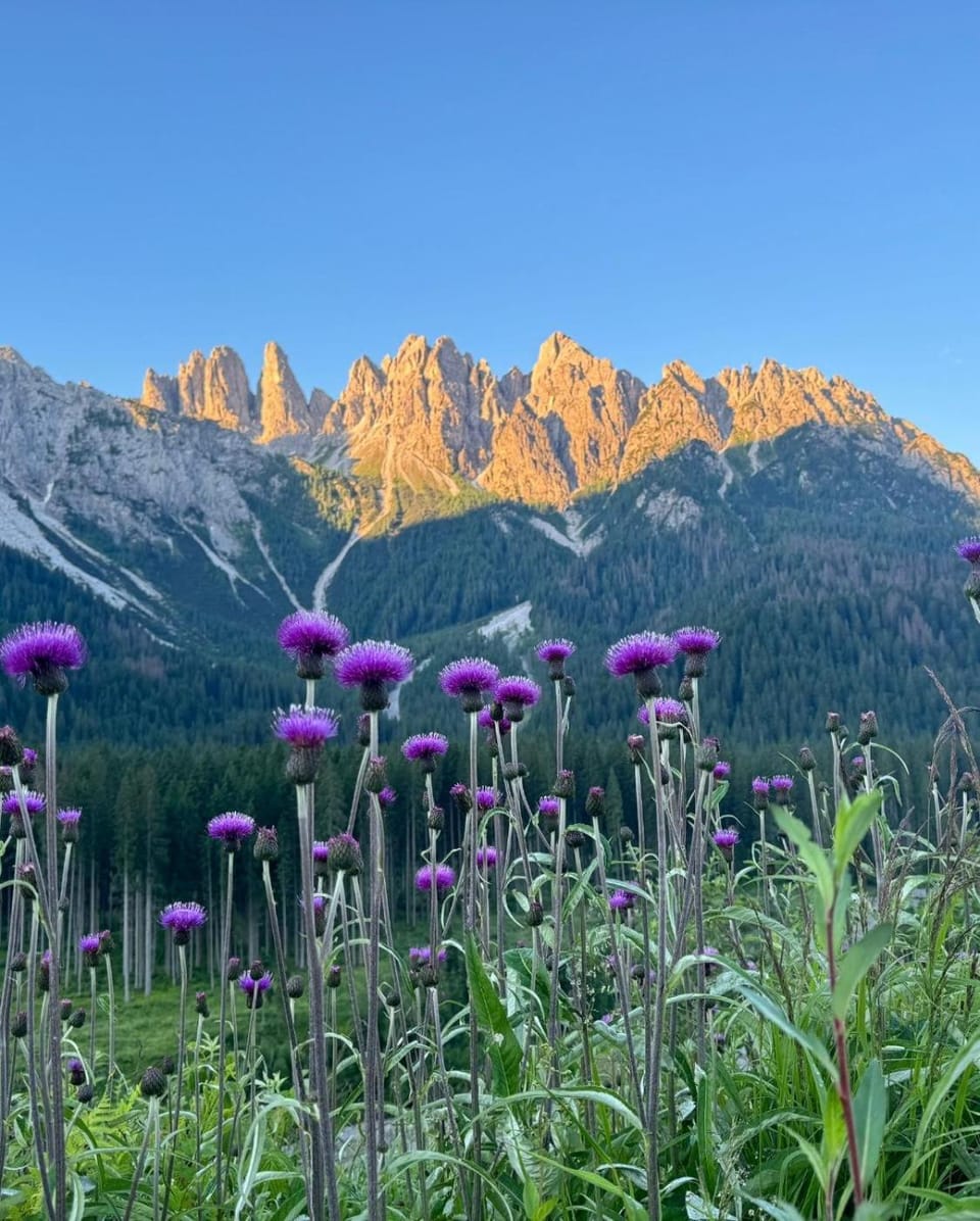 CASERA ONORINA Val Visdende Apartment in Friuli-Venezia Giulia