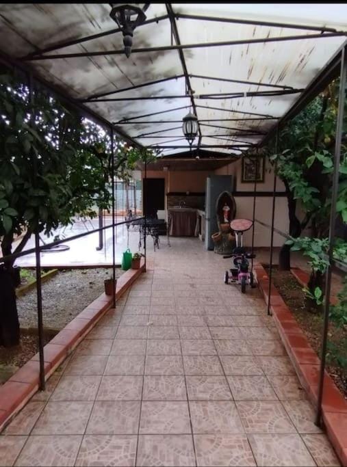 Day, Garden, Garden view