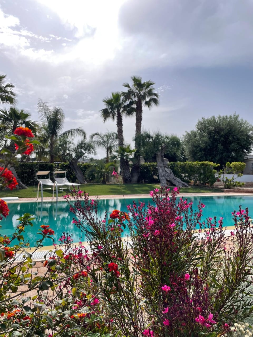 Spring, Day, Garden, Garden view, Pool view, Swimming pool