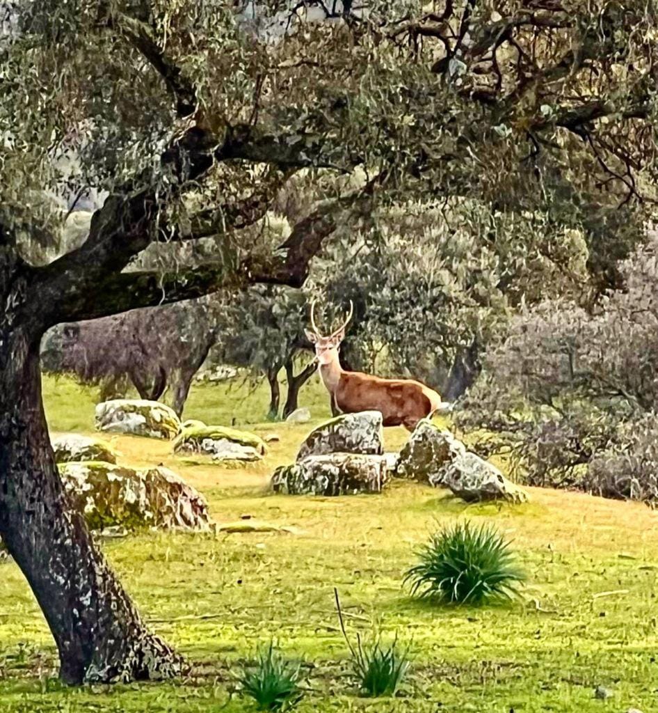 Natural landscape